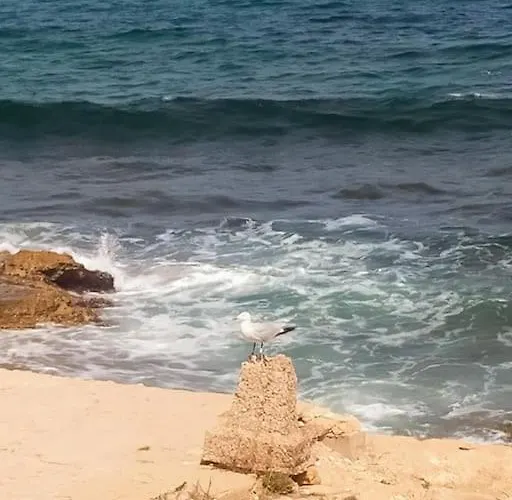 Apartment Mar Azul Primera Linea De Mar, Casa Privada Con Patio Y Solarium 