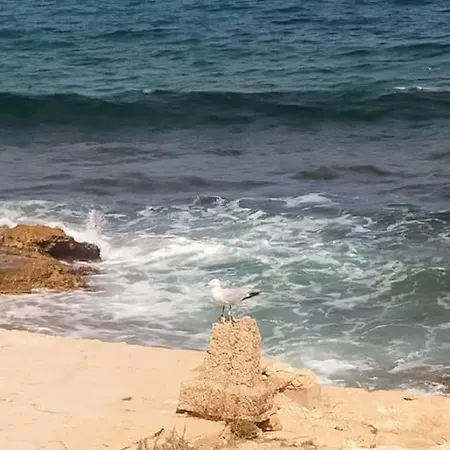 Apartment Mar Azul Primera Linea De Mar, Casa Privada Con Patio Y Solarium 