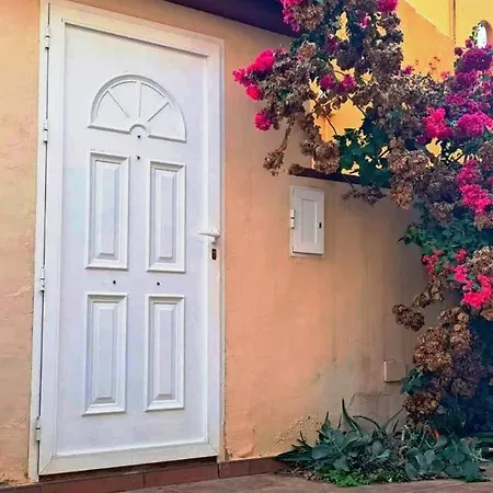 En primera línea de mar, casa,patio solarium La Bugamvulla * Torrevieja